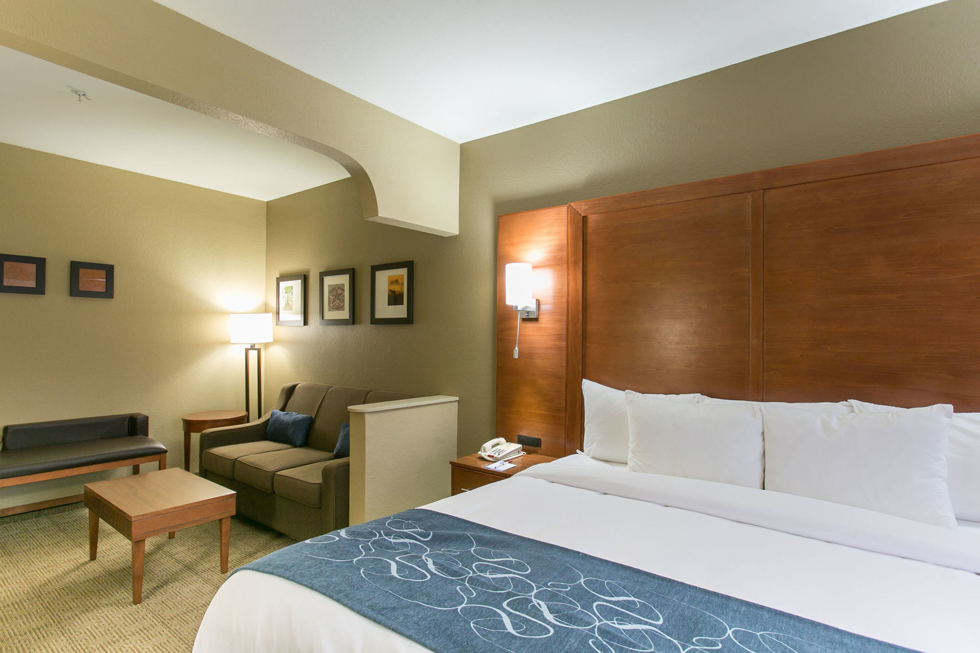 Comfort Suites Austin Nw Lakeline Room photo
